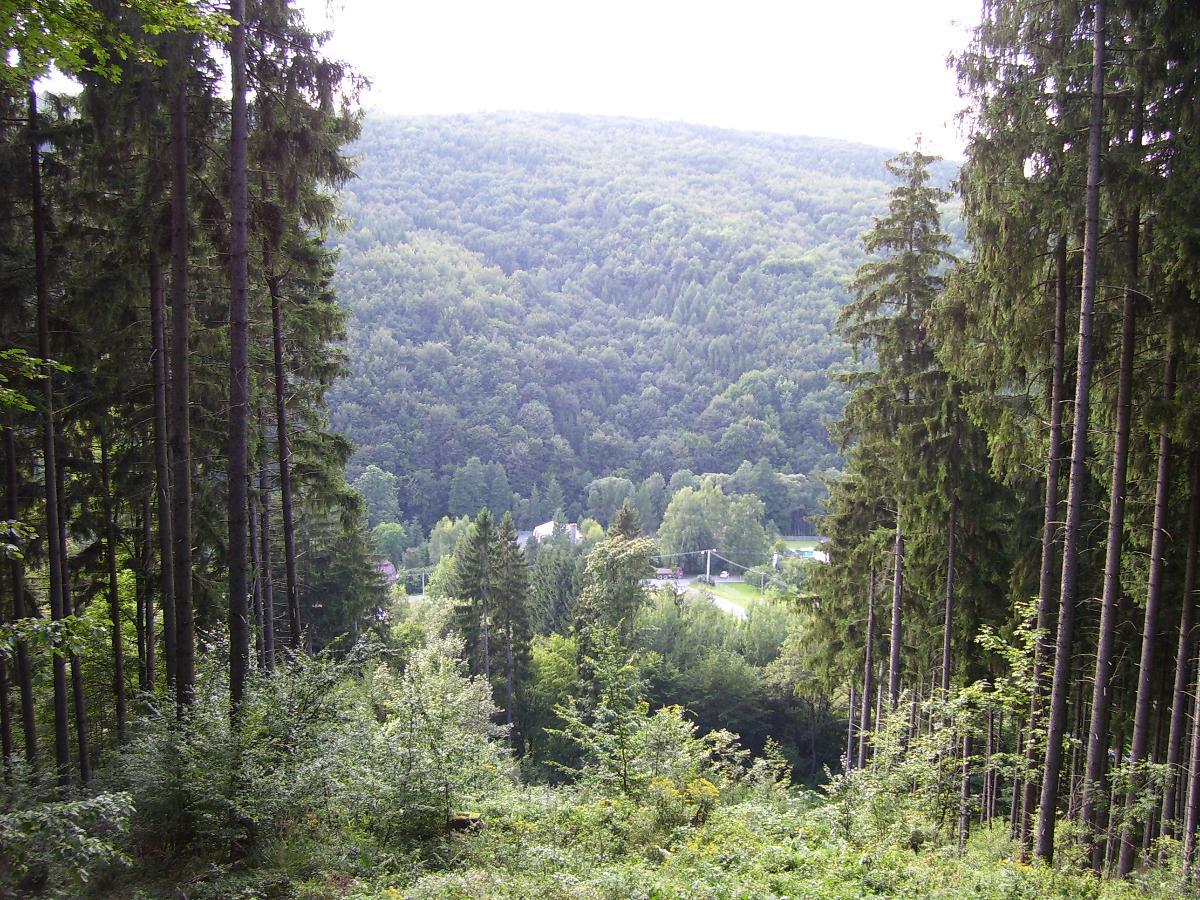 100_5276 (1)